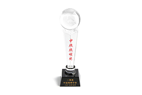 First prize of science and Technology Innovation Award by CIES